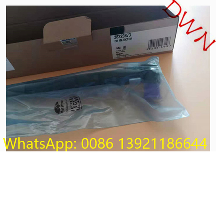 Delphi  Original genuine new  28229873 = 33800-4A710  Common Rail Injector For Hyundai KIA