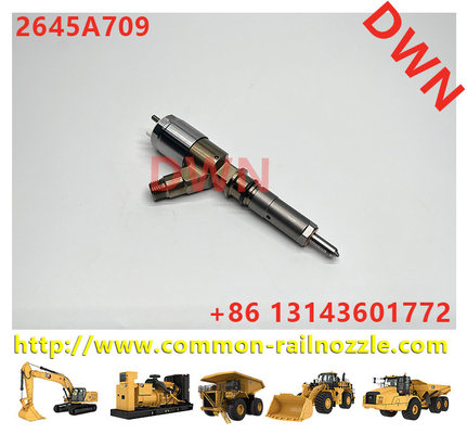 2645A709 Common Rail Injector 2645A731 2645A743 2768290 2820490 2897501 2939590