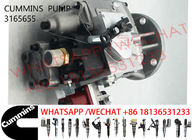 3165655 Diesel Injection Pump 3165401 4060993 3419494 3165437 3165457
