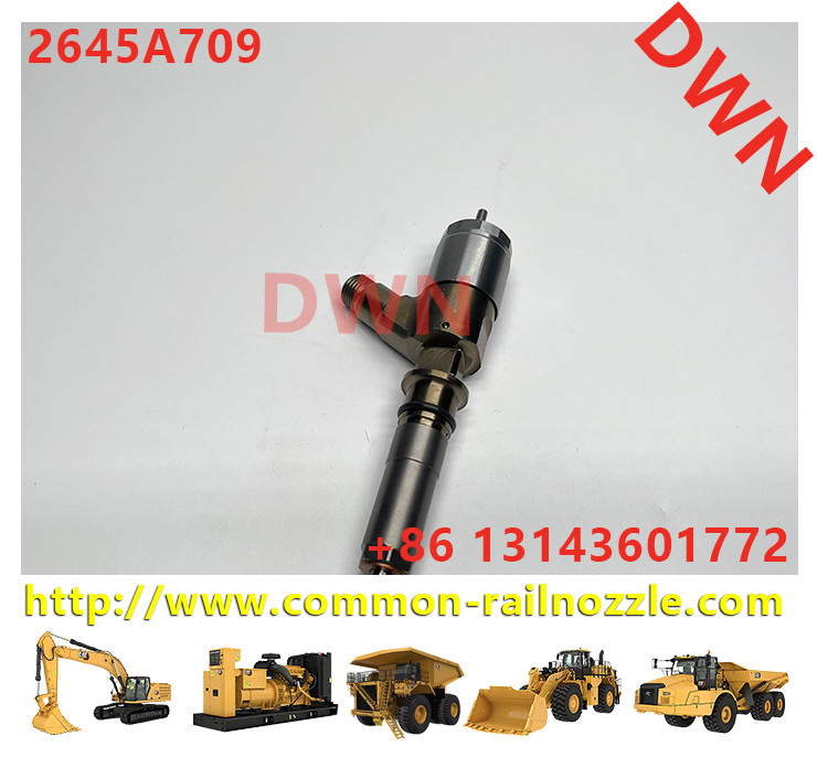 2645A709 Common Rail Injector 2645A731 2645A743 2768290 2820490 2897501 2939590